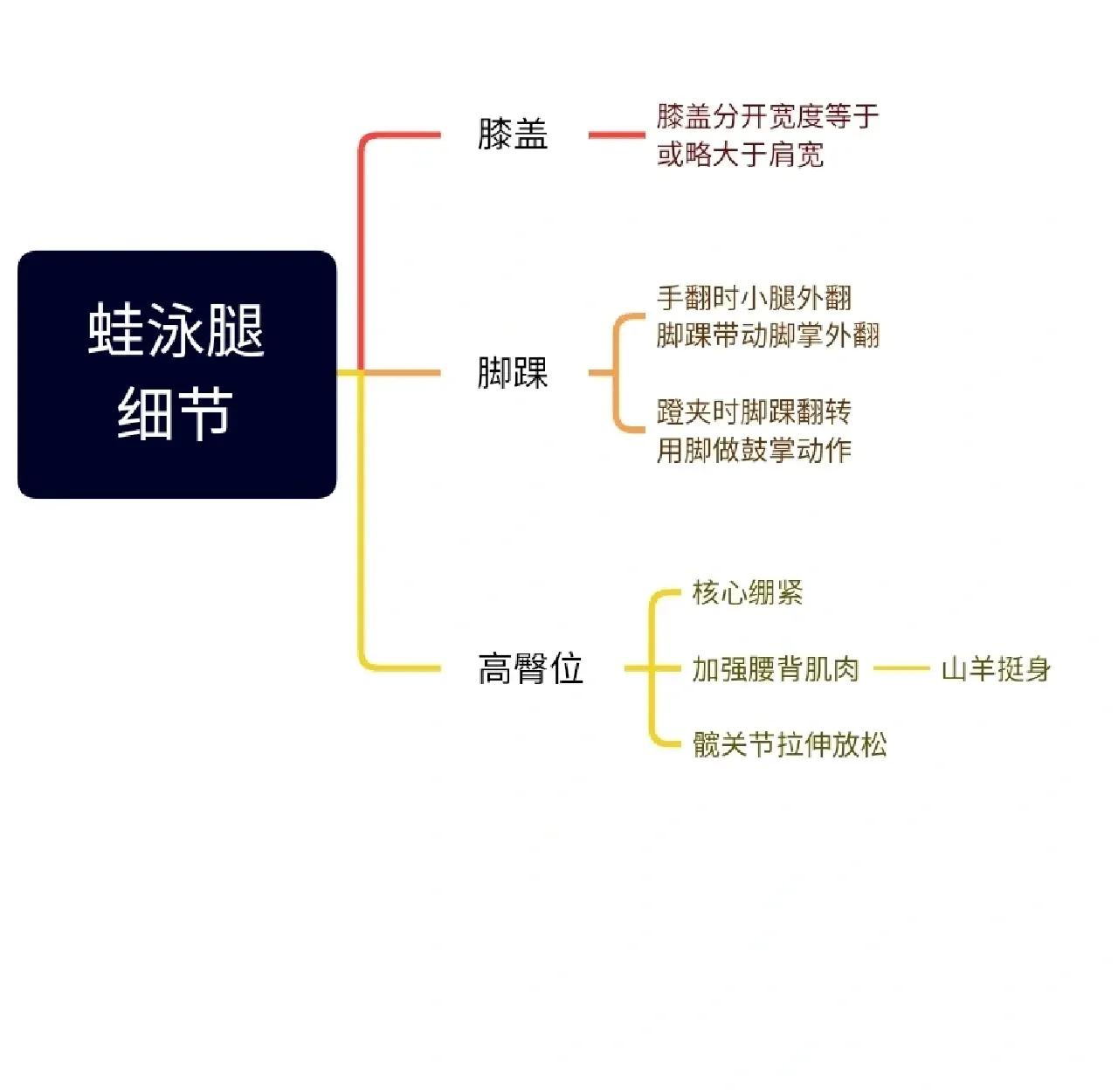 关于游泳蛙泳的要领口诀
