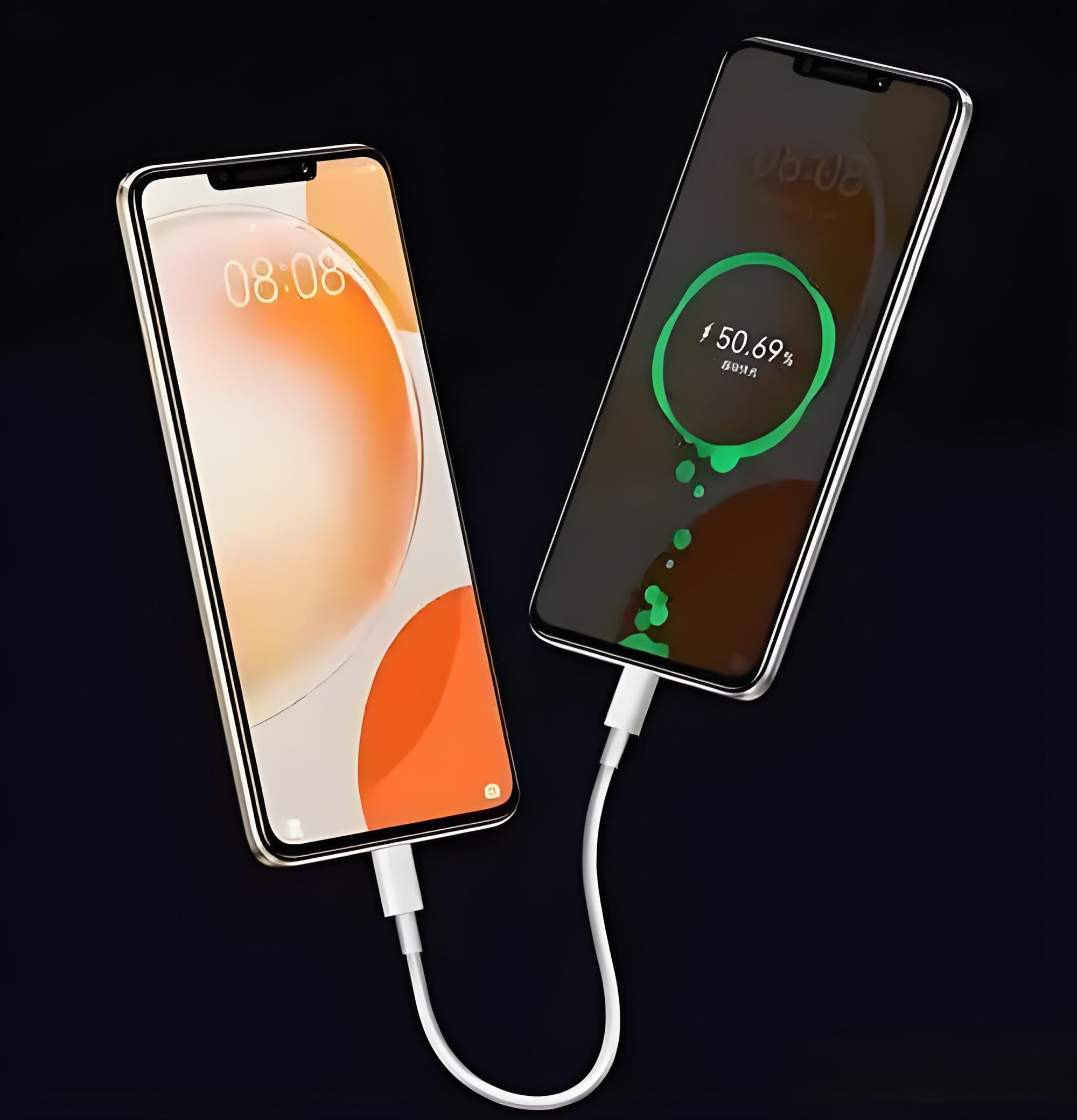 vivoZ3i不支持快充吗