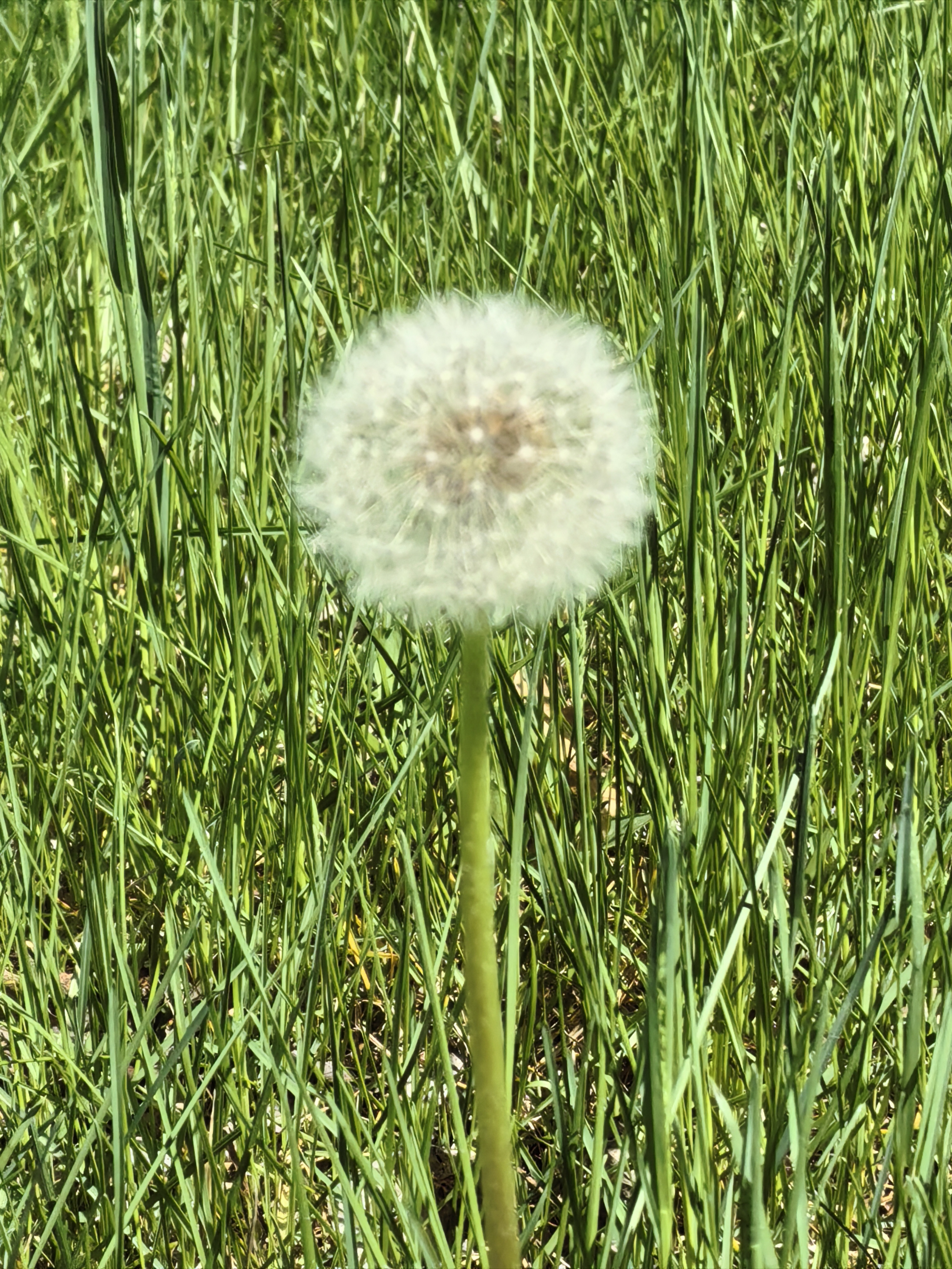 2025年12月12日 第12页