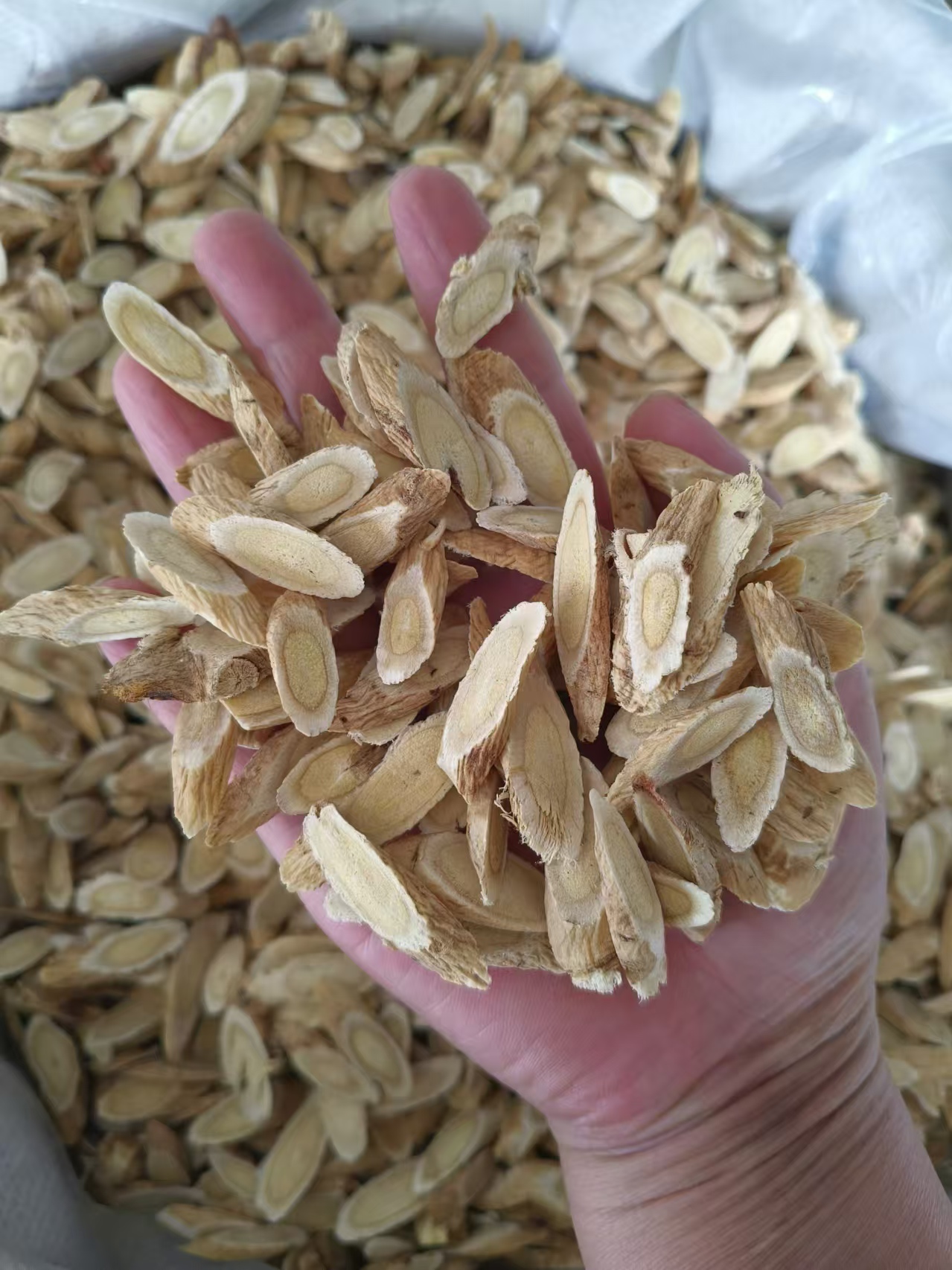 吃紫贝天葵有什么好处紫贝天葵的功效与作用