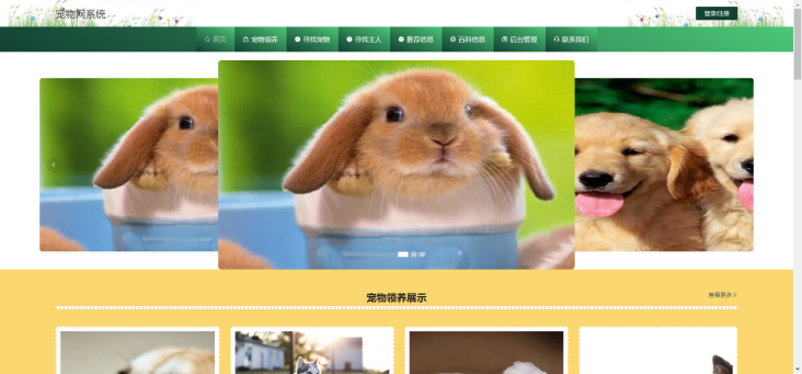 领养宠物哪个网站靠谱