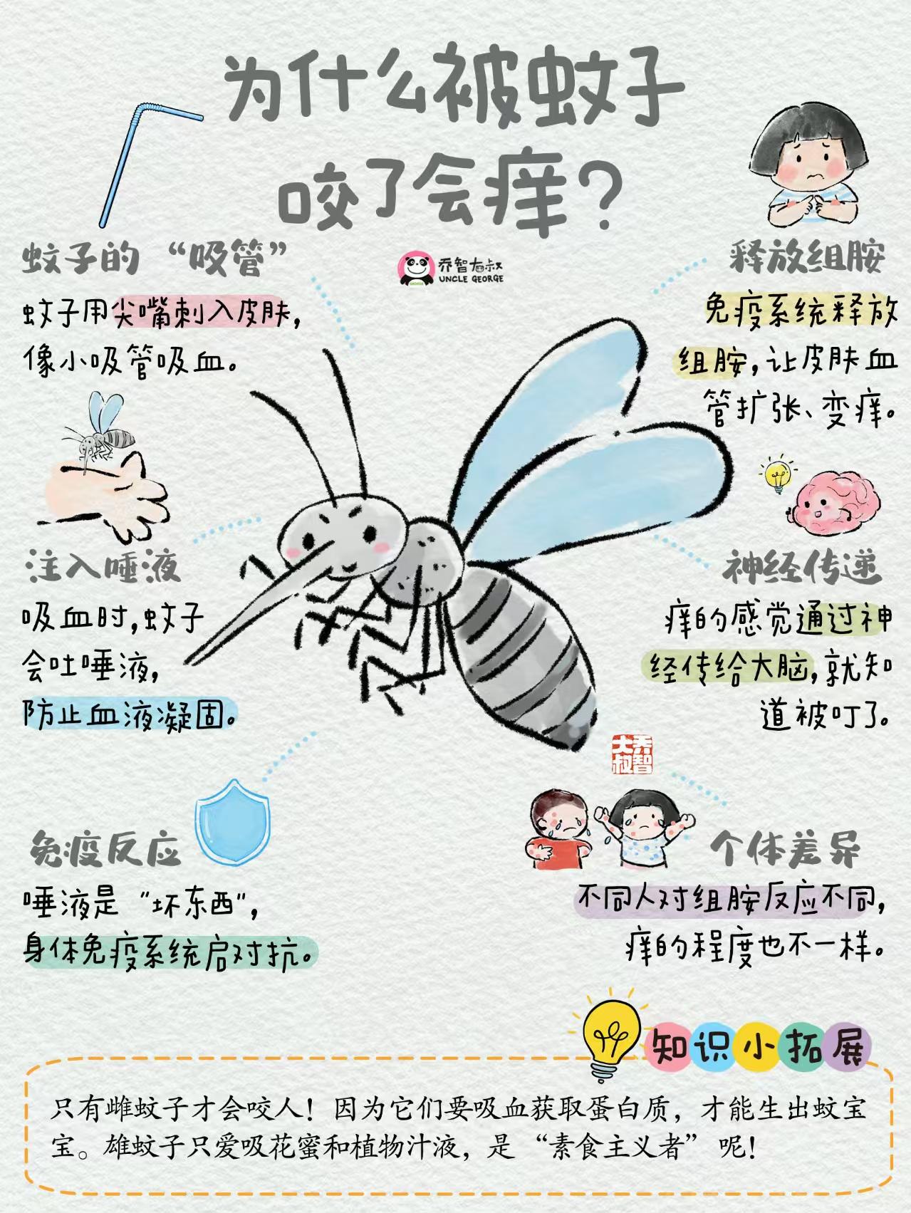 蚊子寿命最长应该是多长
