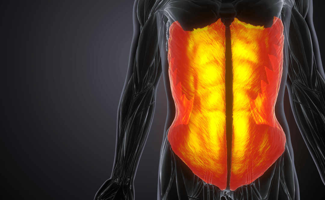 男的肚子上有毛代表什么