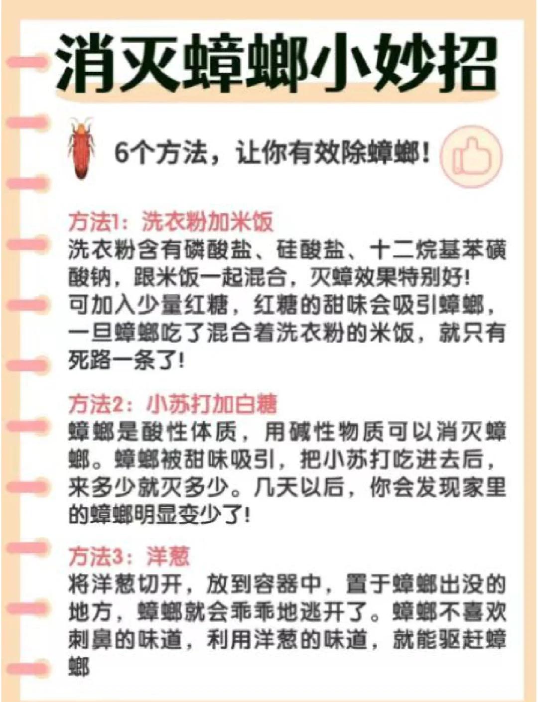 除蟑螂方法除蟑螂小妙招