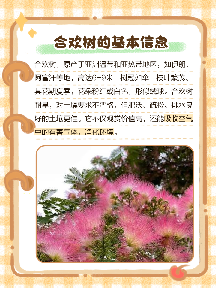 蚂蚁森林合种爱情树取名有哪些?