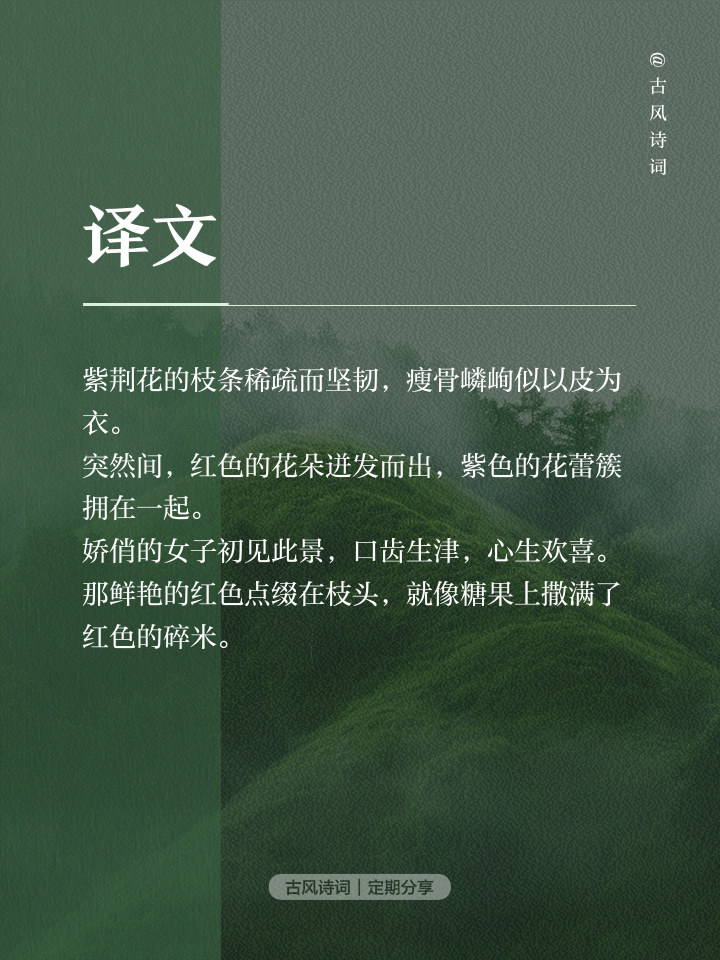 淡极始知花更艳什么意思