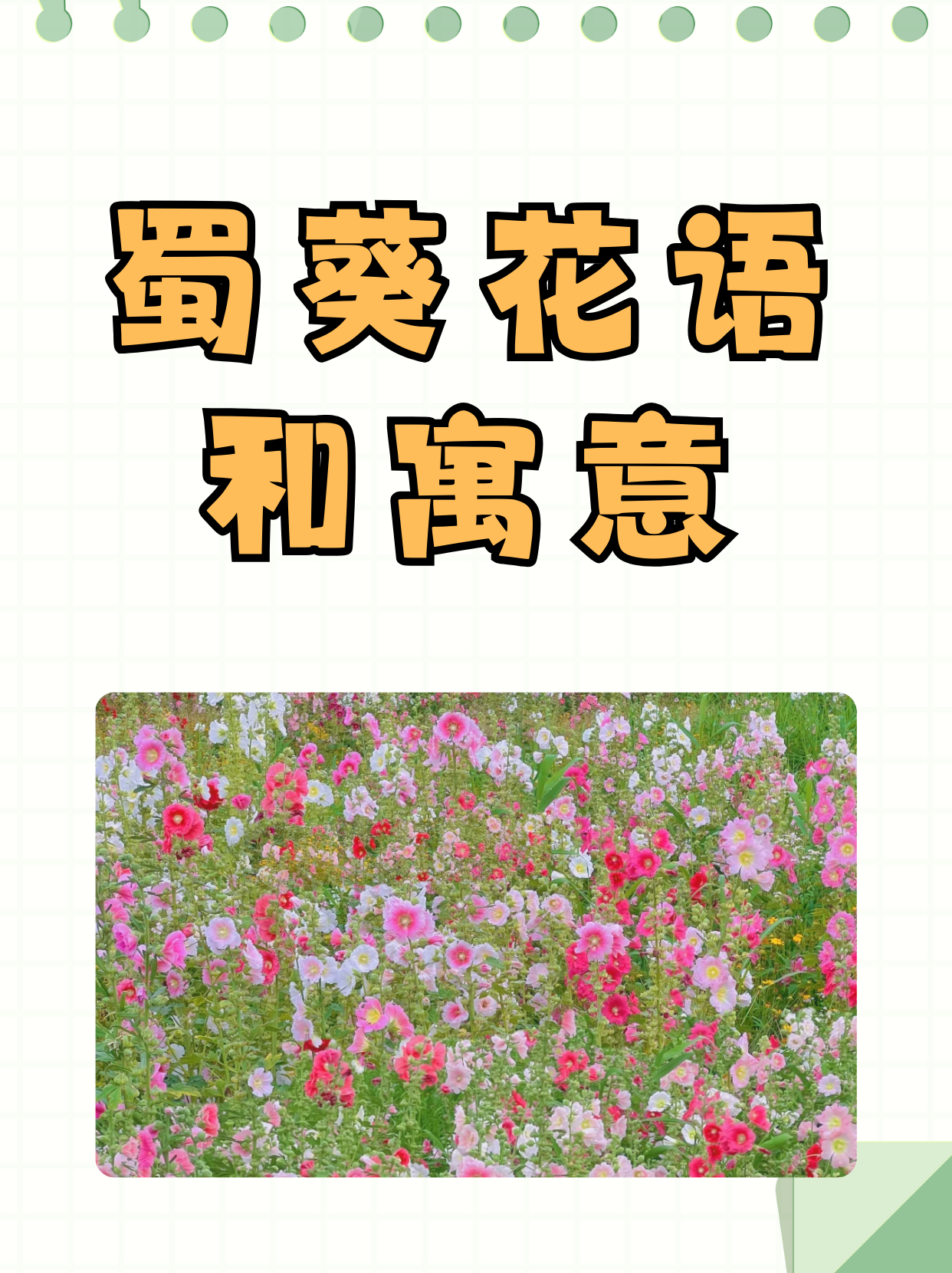 淡极始知花更艳什么意思