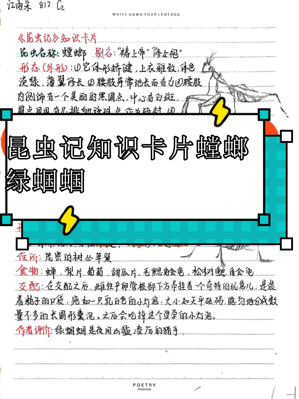 昆虫记1一20章的简介概括