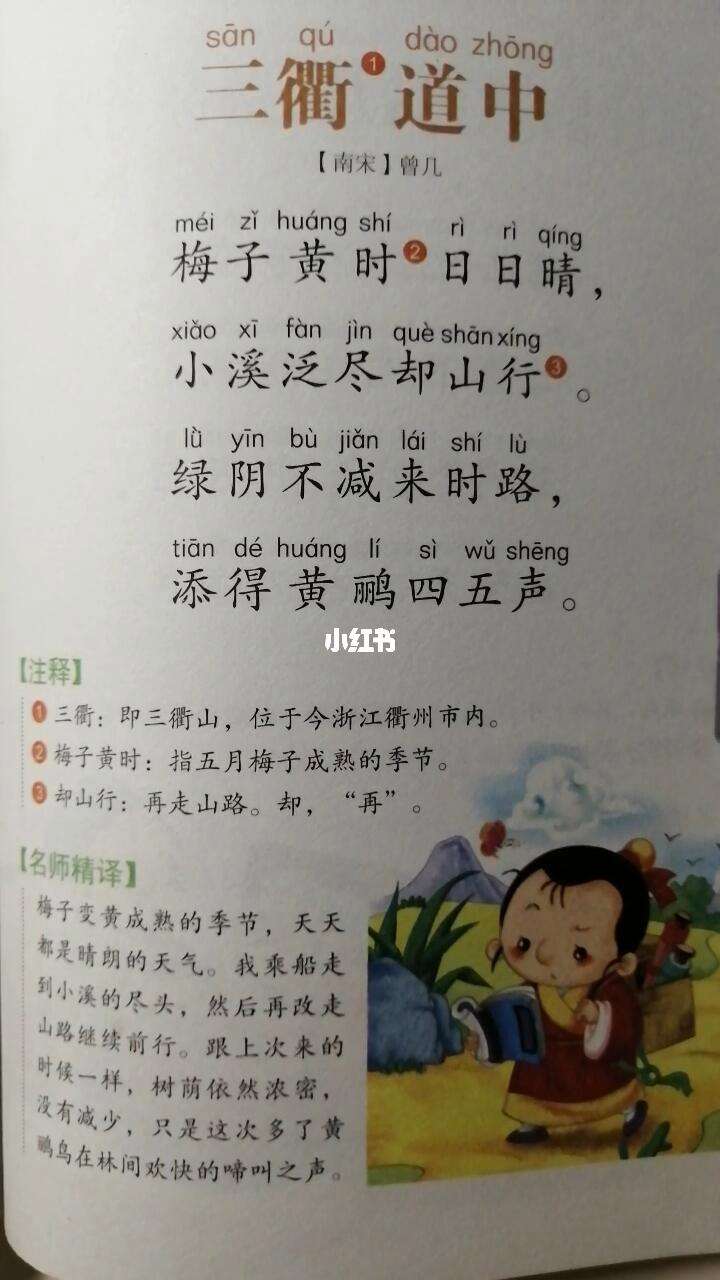 三衢道中古诗写的是什么季节的景色