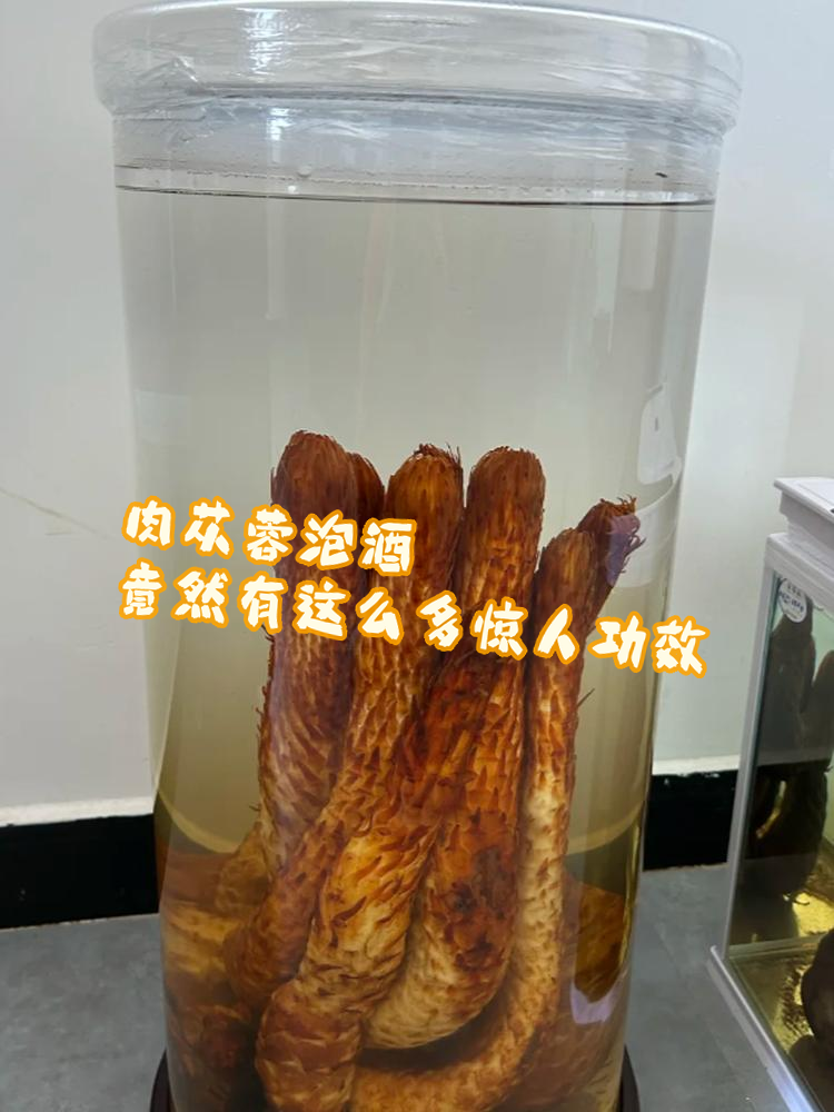 肉苁蓉泡酒配方比例方法?