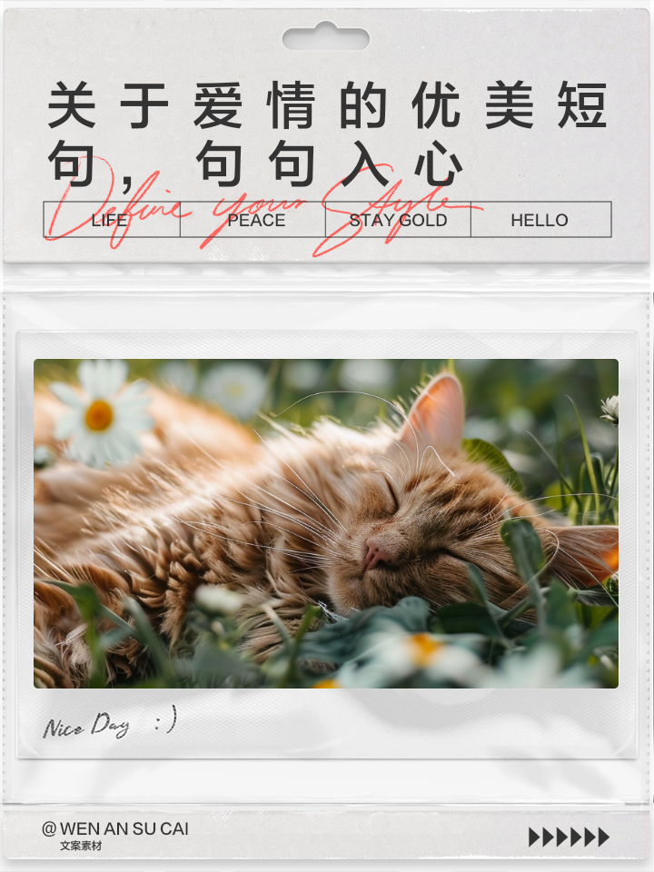 大学生心理爱情感悟的句子