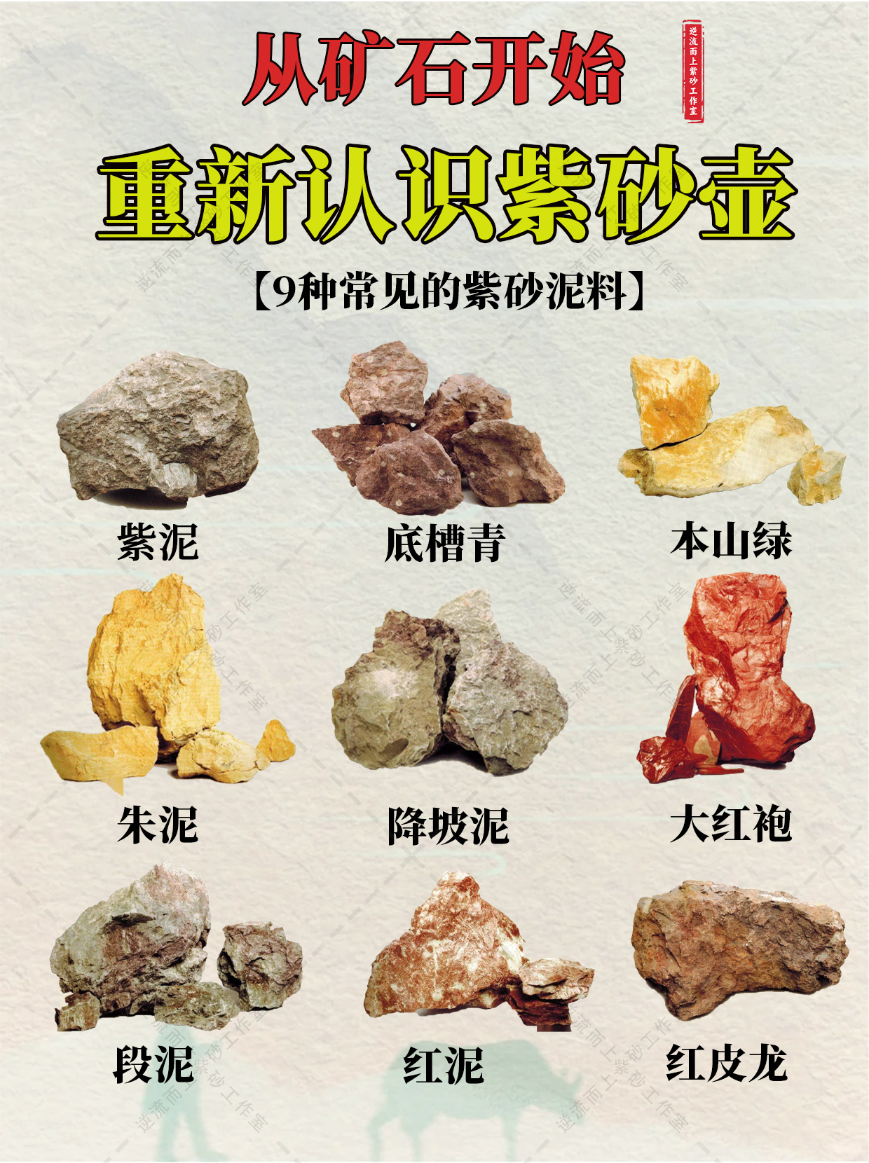 大料是什么大料的简介