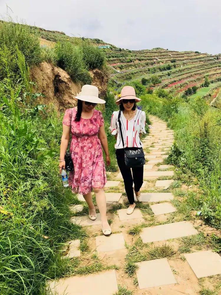 夜夜想起妈妈的话歌词简述