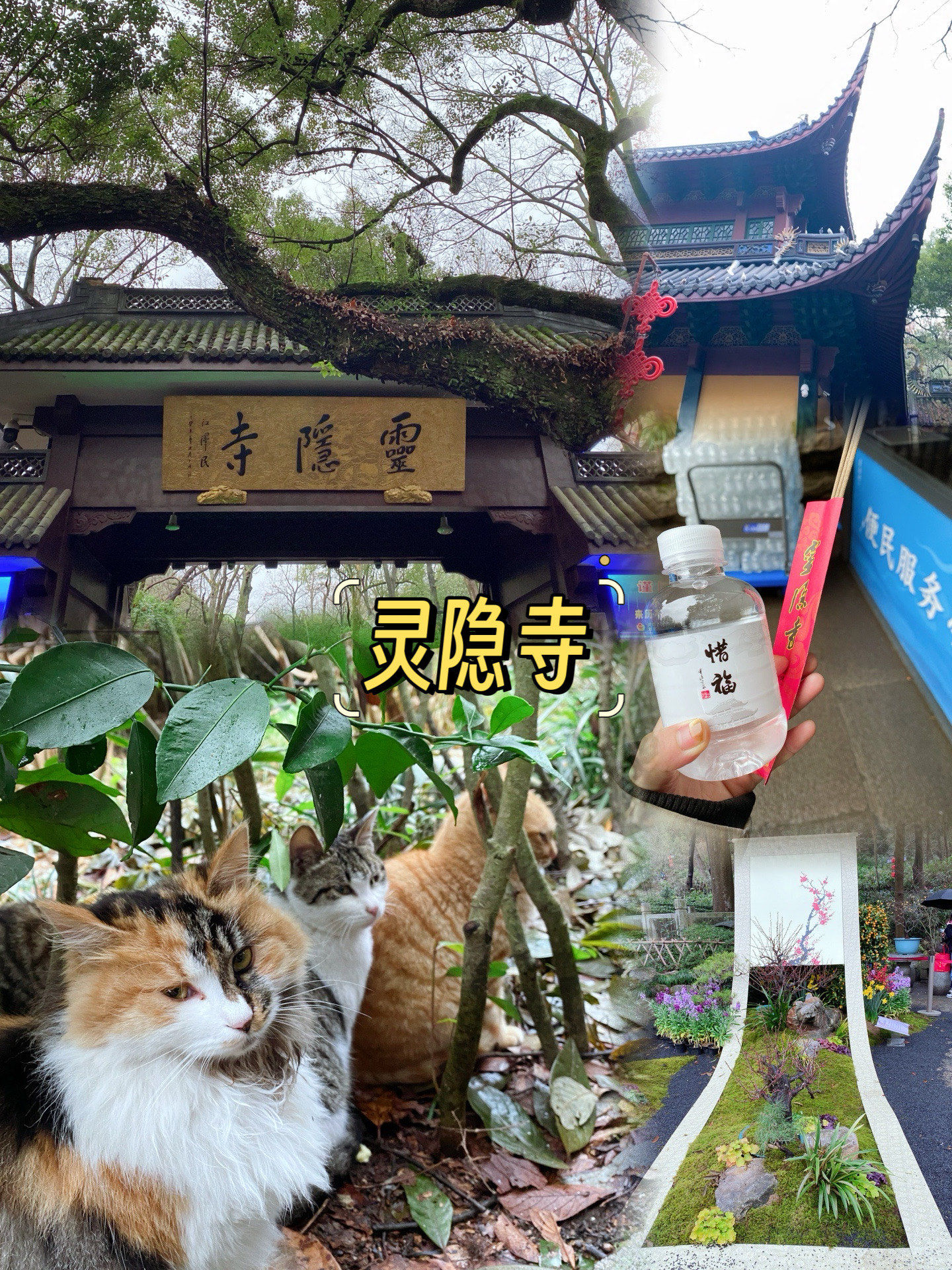 灵隐寺几点开门几点关门