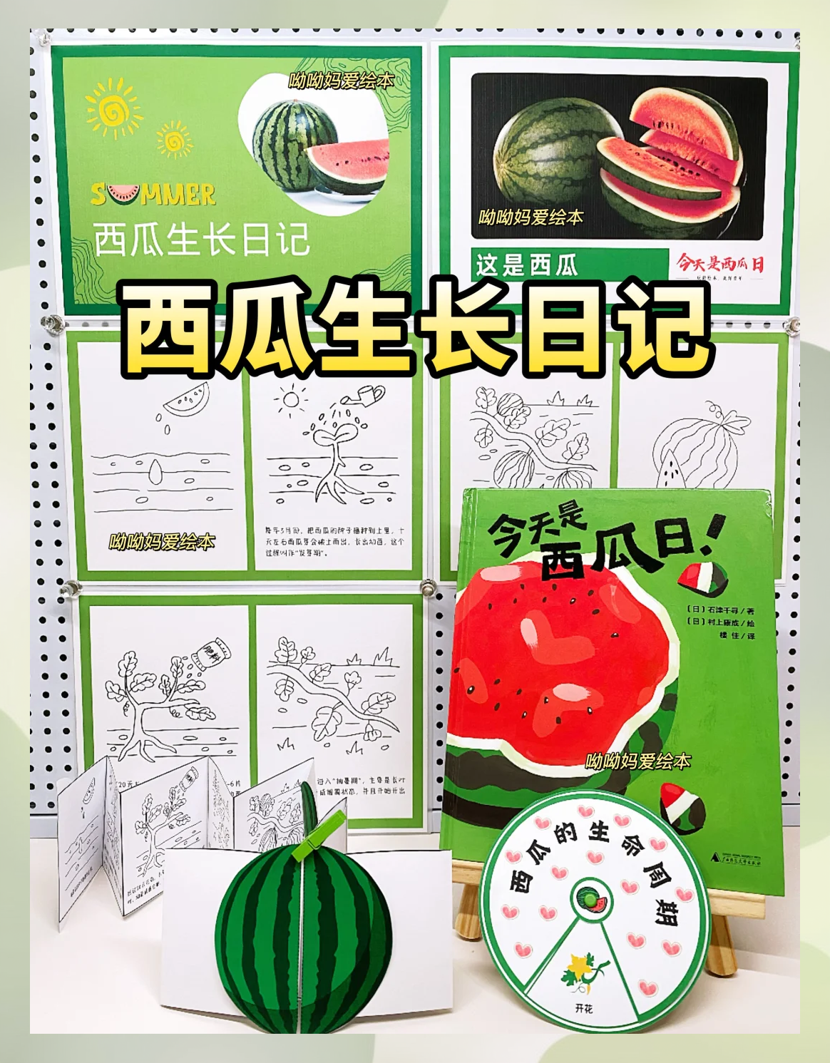 详解西瓜籽种植的方法步骤