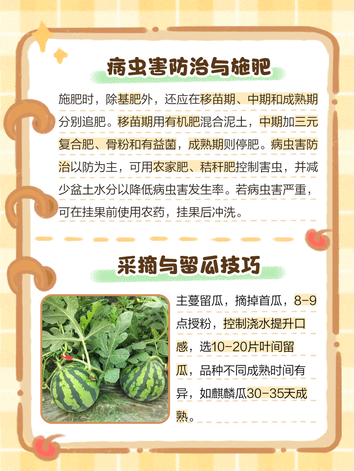 详解西瓜籽种植的方法步骤