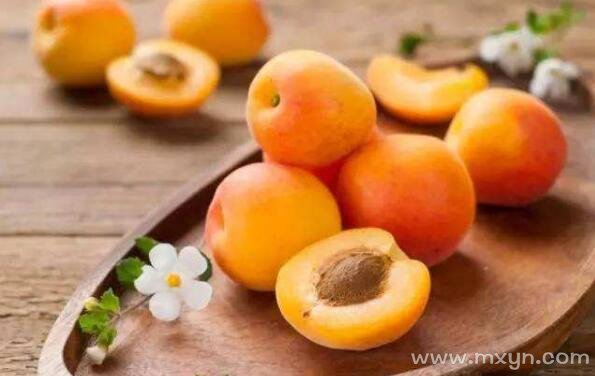 女人梦见吃杏是什么预兆