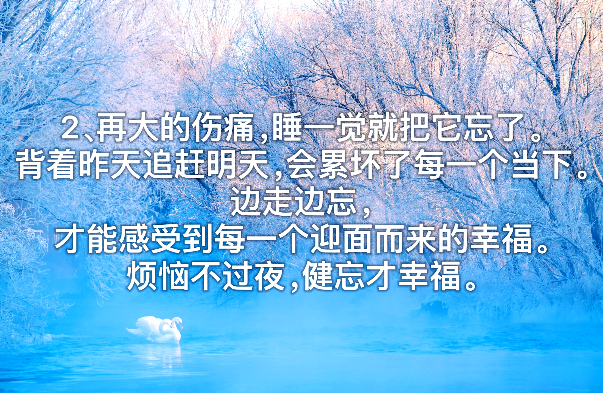 关于人生的经典语录精选