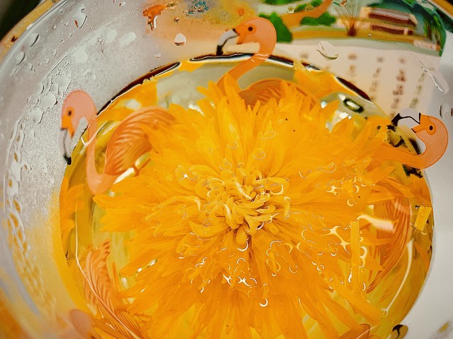 柠檬水和菊花茶能一起喝吗?