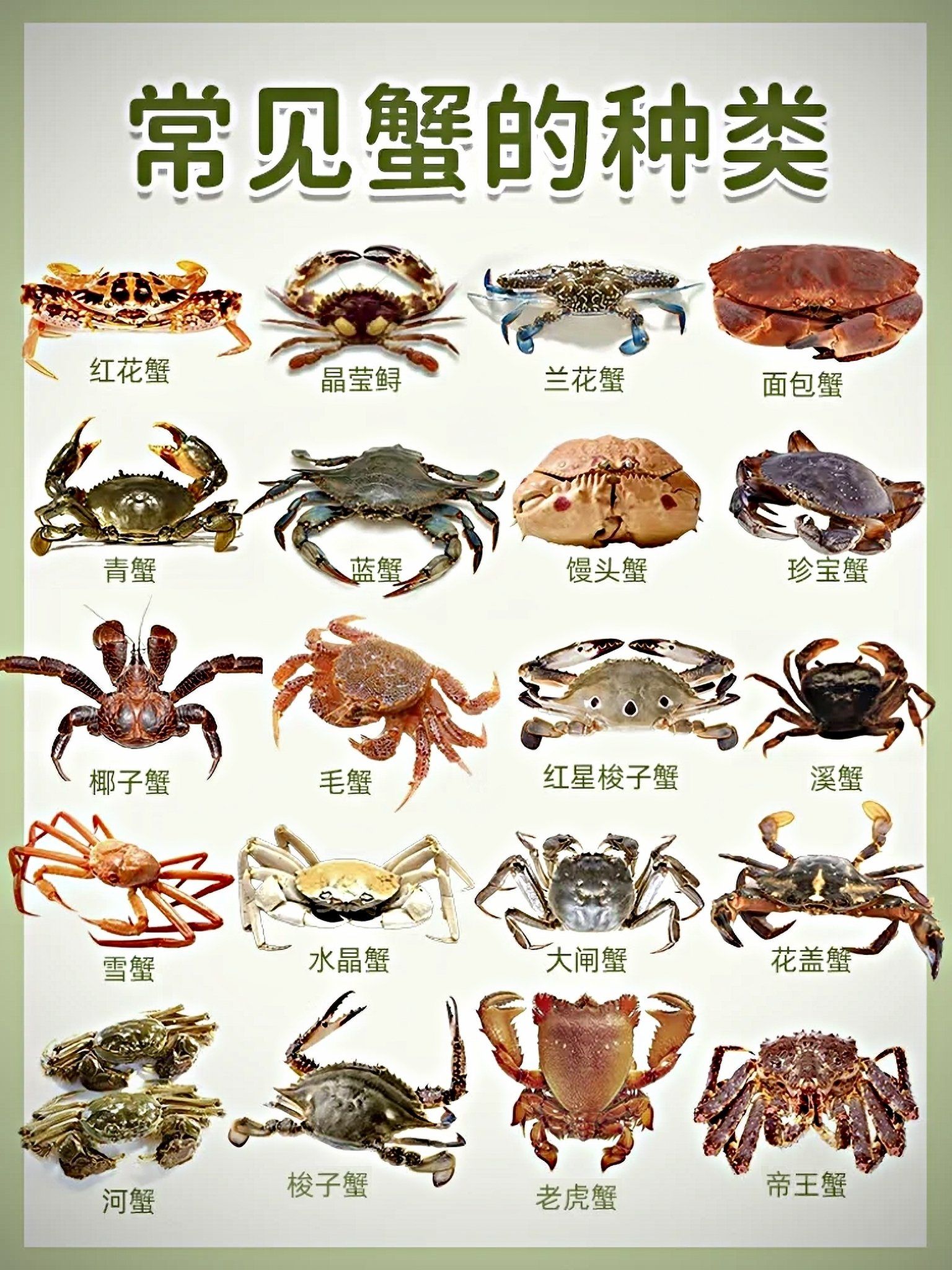 怎么养殖螃蟹成本和利润多少