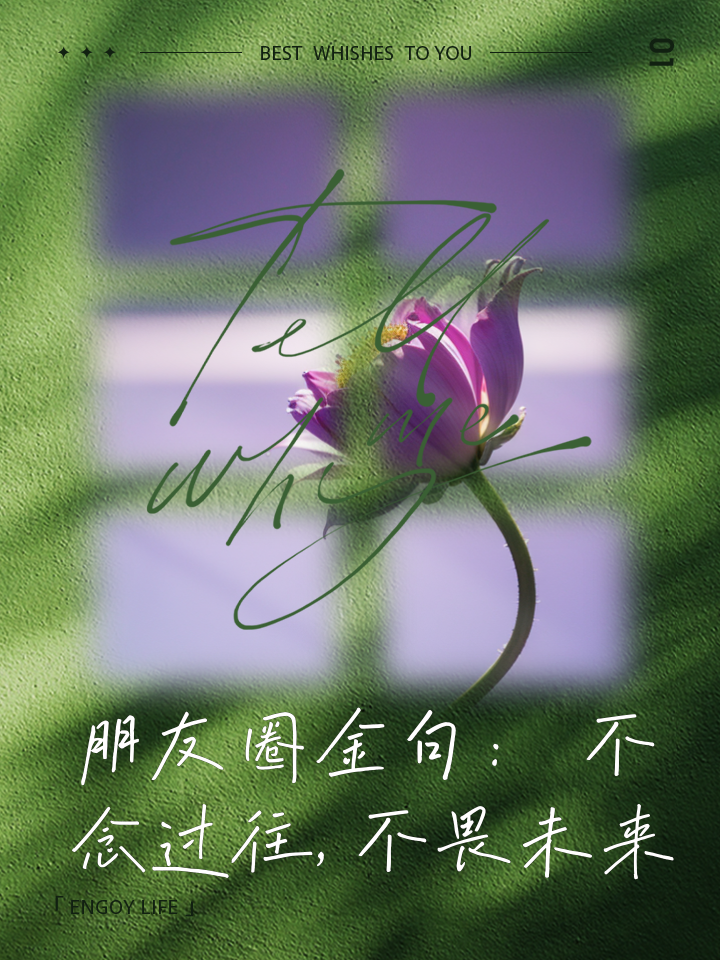 不畏将来不念过去什么意思