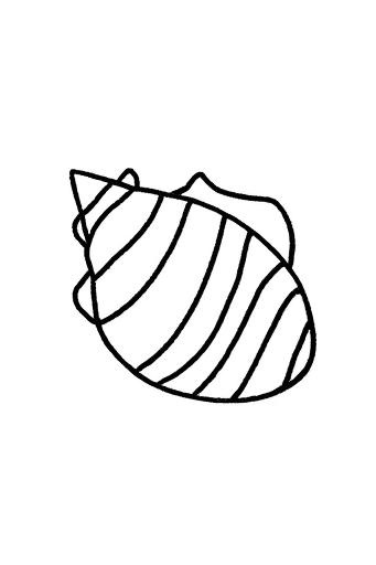 贝壳怎么画简笔画图片