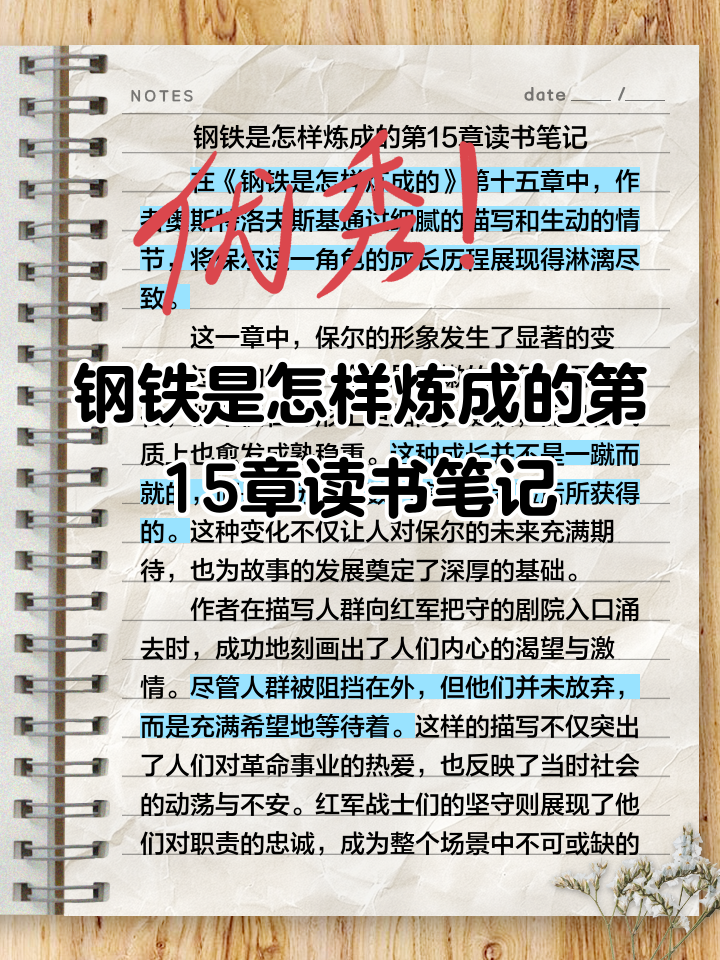 关于钢铁是怎样炼成的各个章节梗概