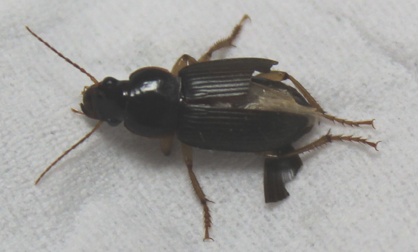 2025年12月15日 第32页