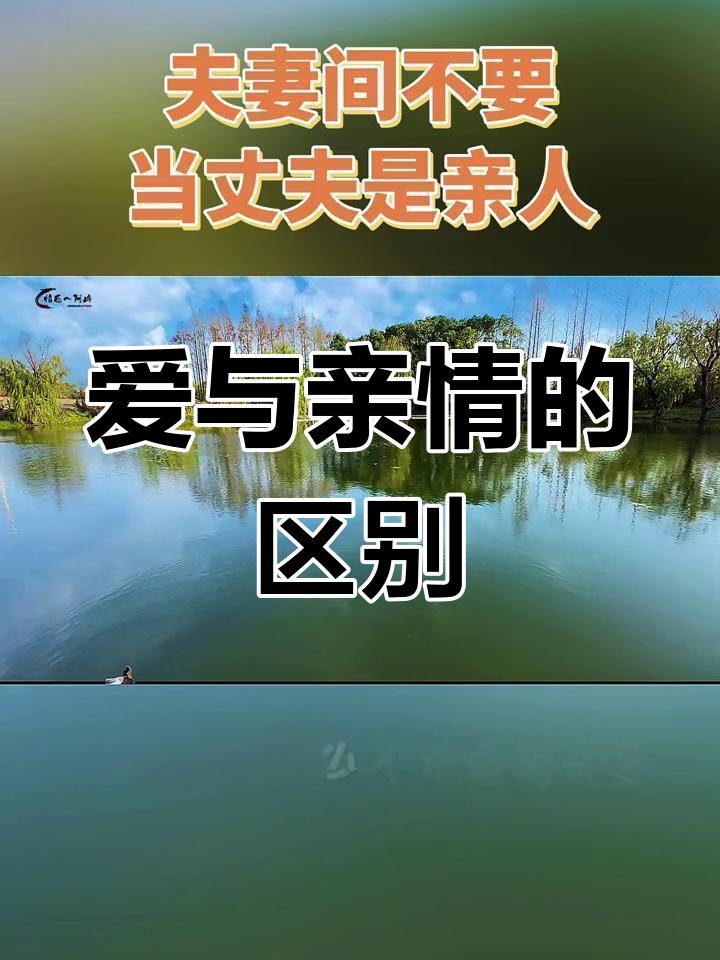 2025年12月15日 第31页