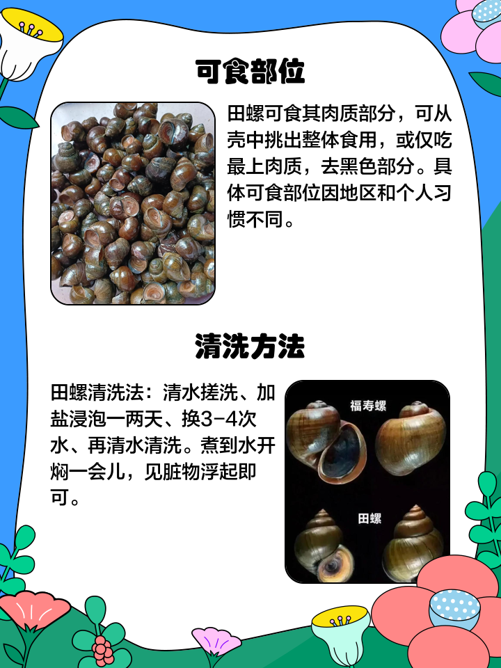 田螺养殖技术田螺如何养殖