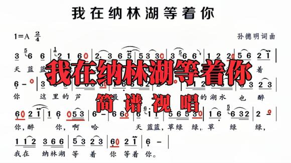 关于我在纳林湖等着你歌词