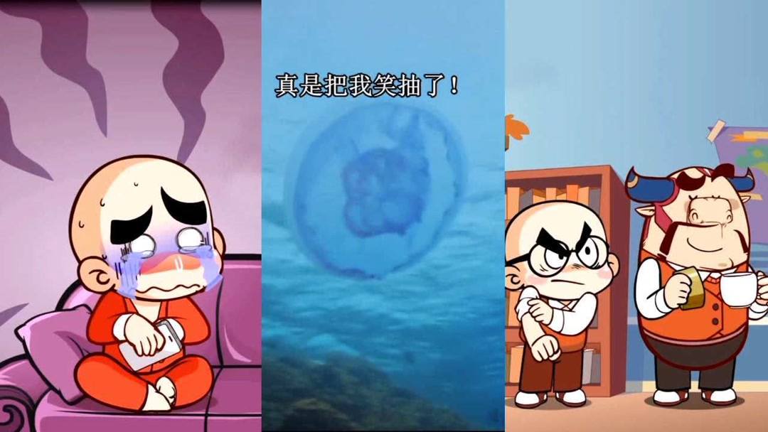 小黄tv-小黄tv懂你更懂生活