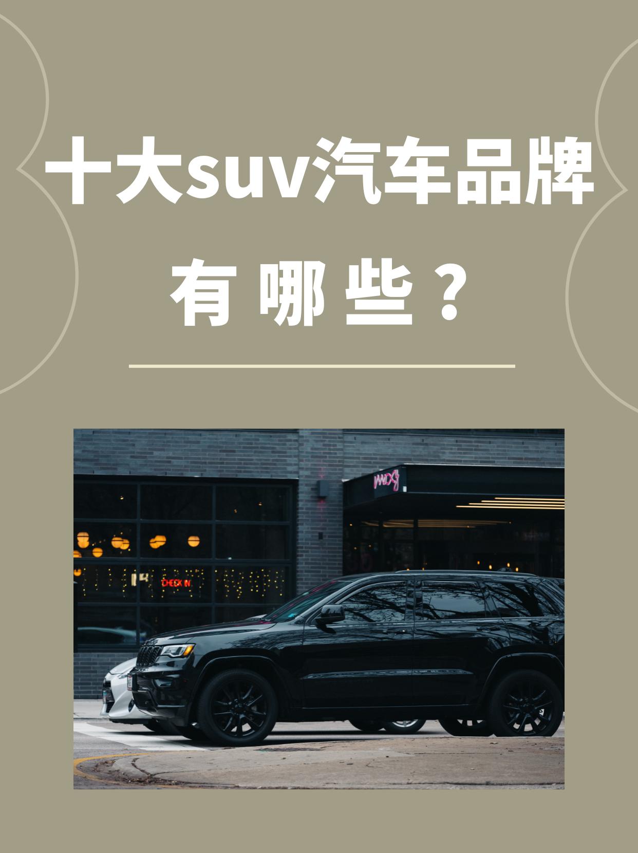 vehicle是什么意思中文