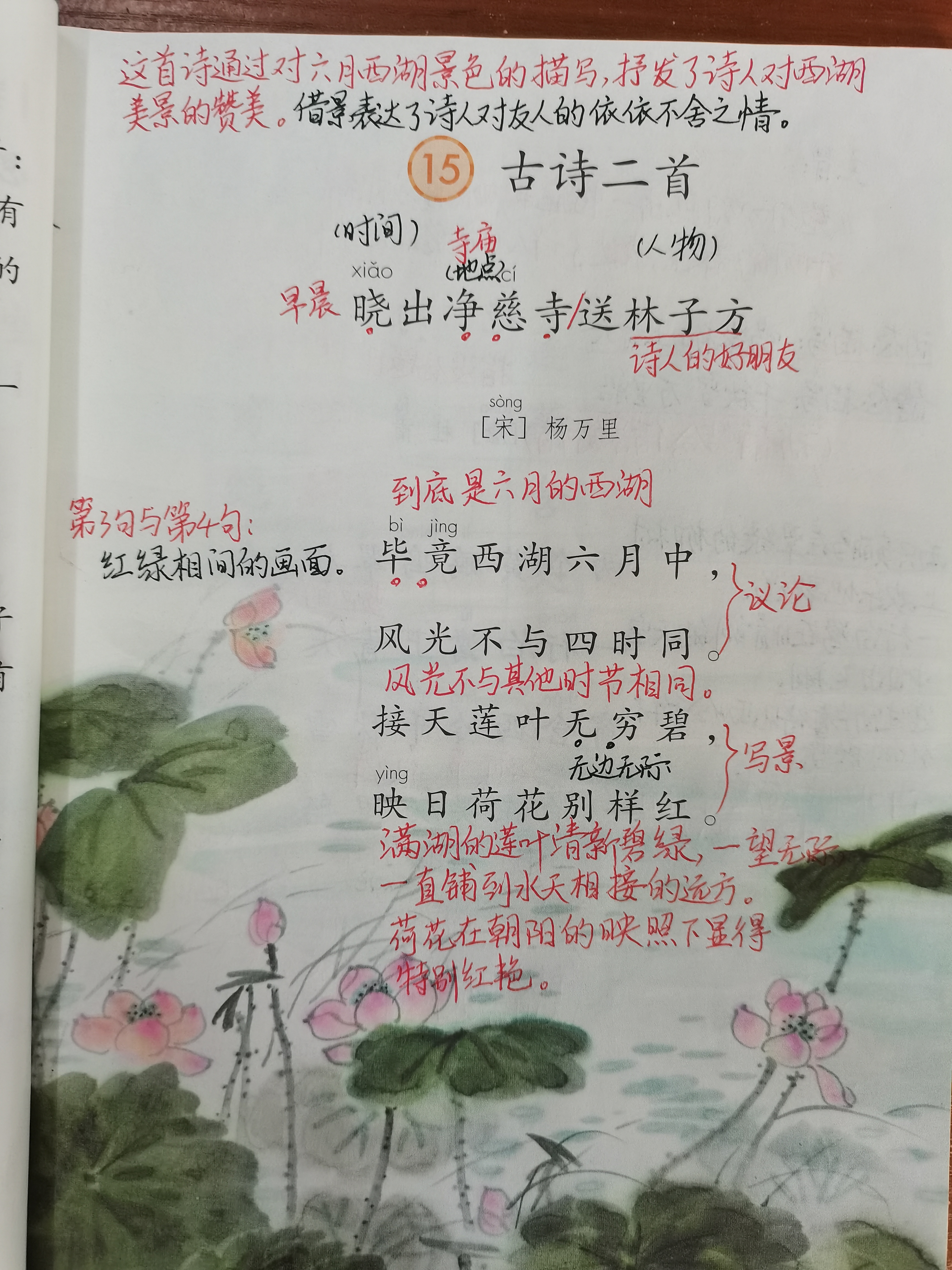 晓出净慈寺送林子方这首诗的意思