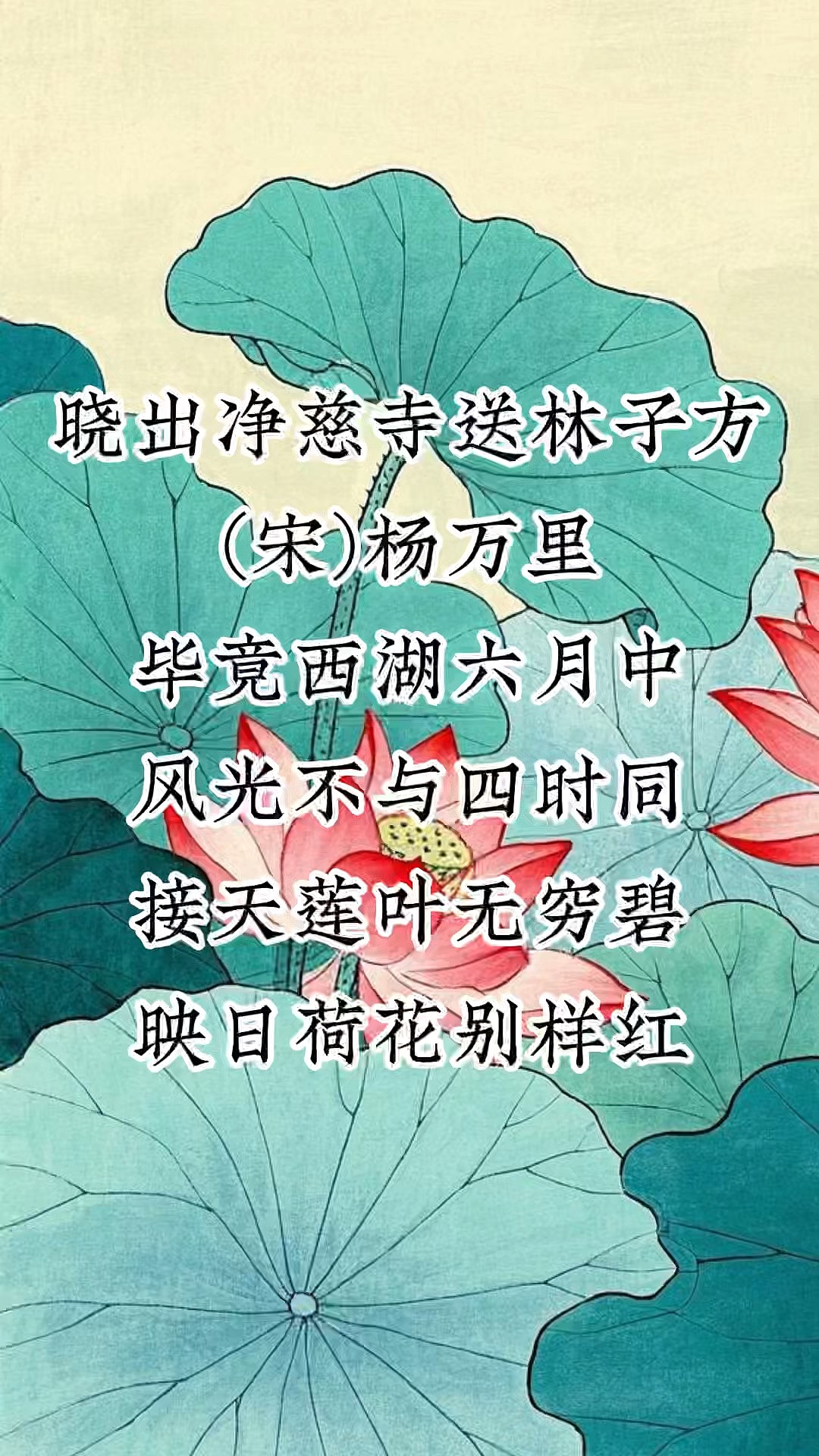 晓出净慈寺送林子方这首诗的意思