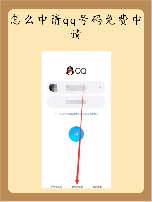 2025年12月15日 第13页