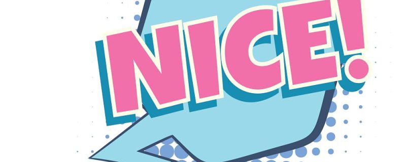 nice的中文意思是什么