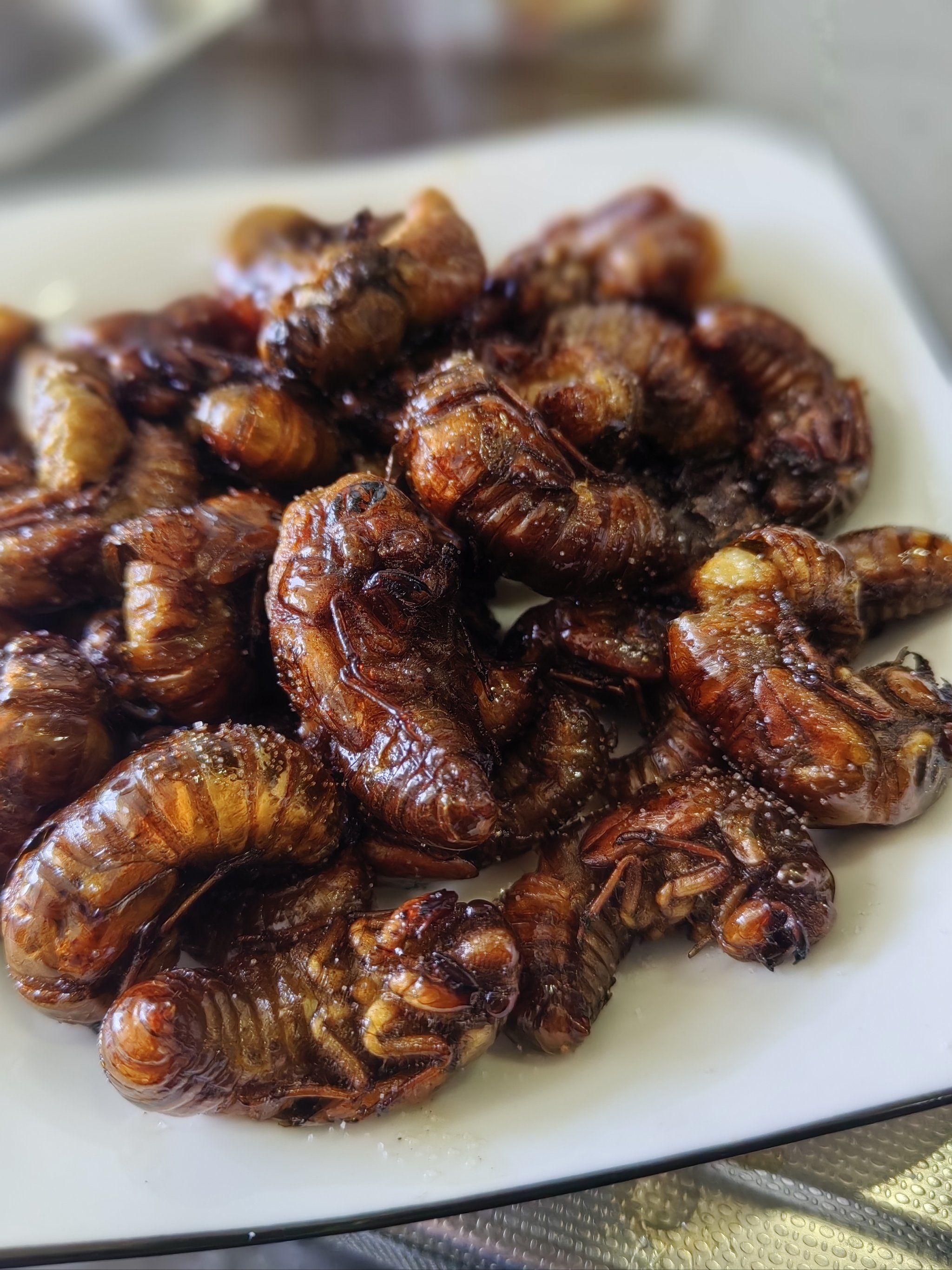 男人吃金蝉有壮阳作用吗