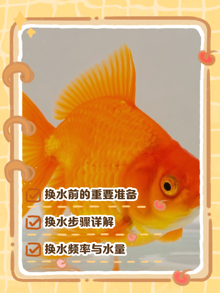 请问养金鱼的水几天换一次