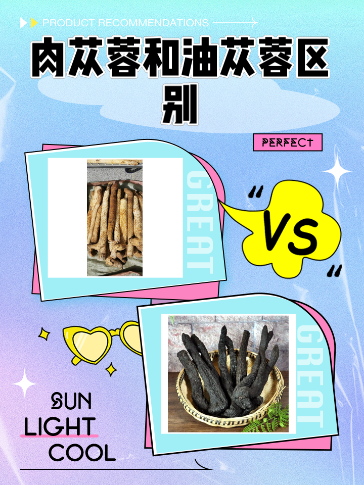 锁阳和肉苁蓉哪个壮阳效果好