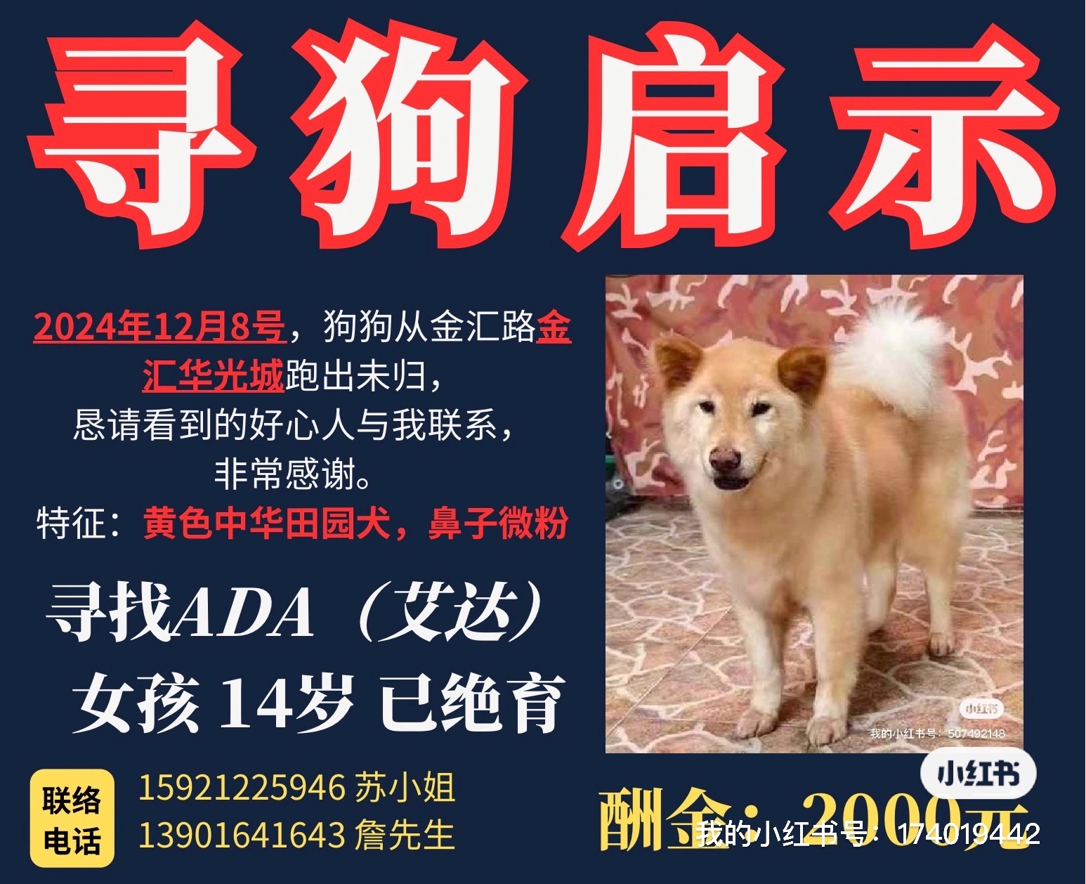 狗狗丢了一般会躲哪里？我们去哪里找？