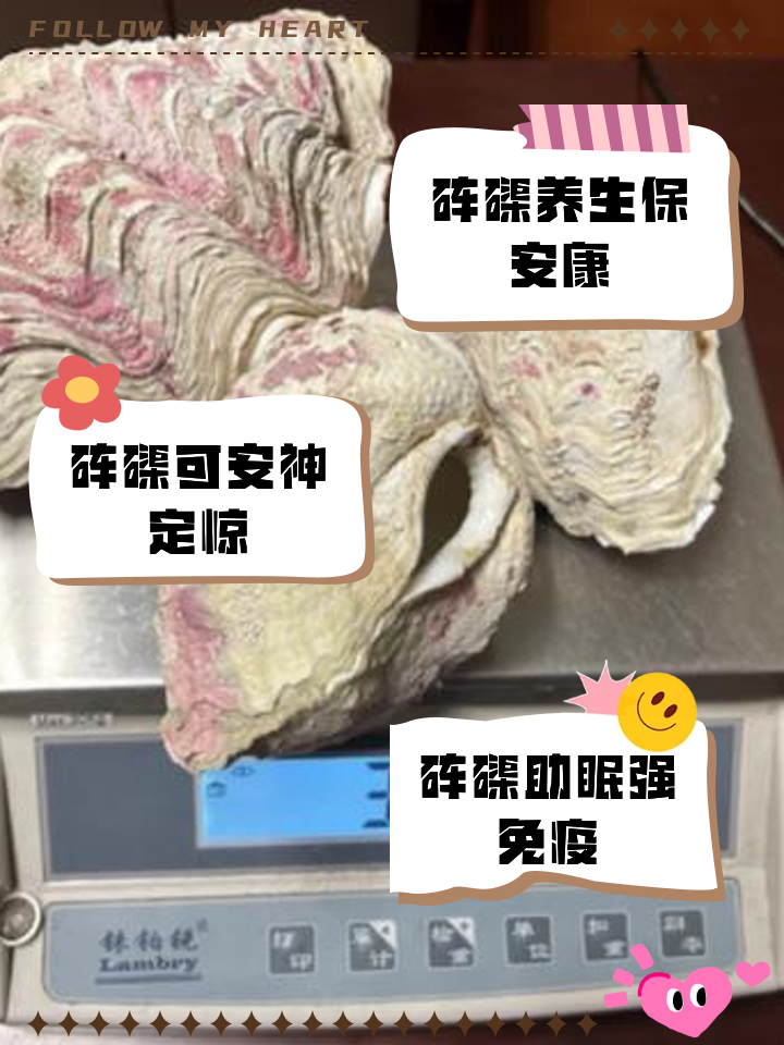 砗磲是什么,砗磲简述