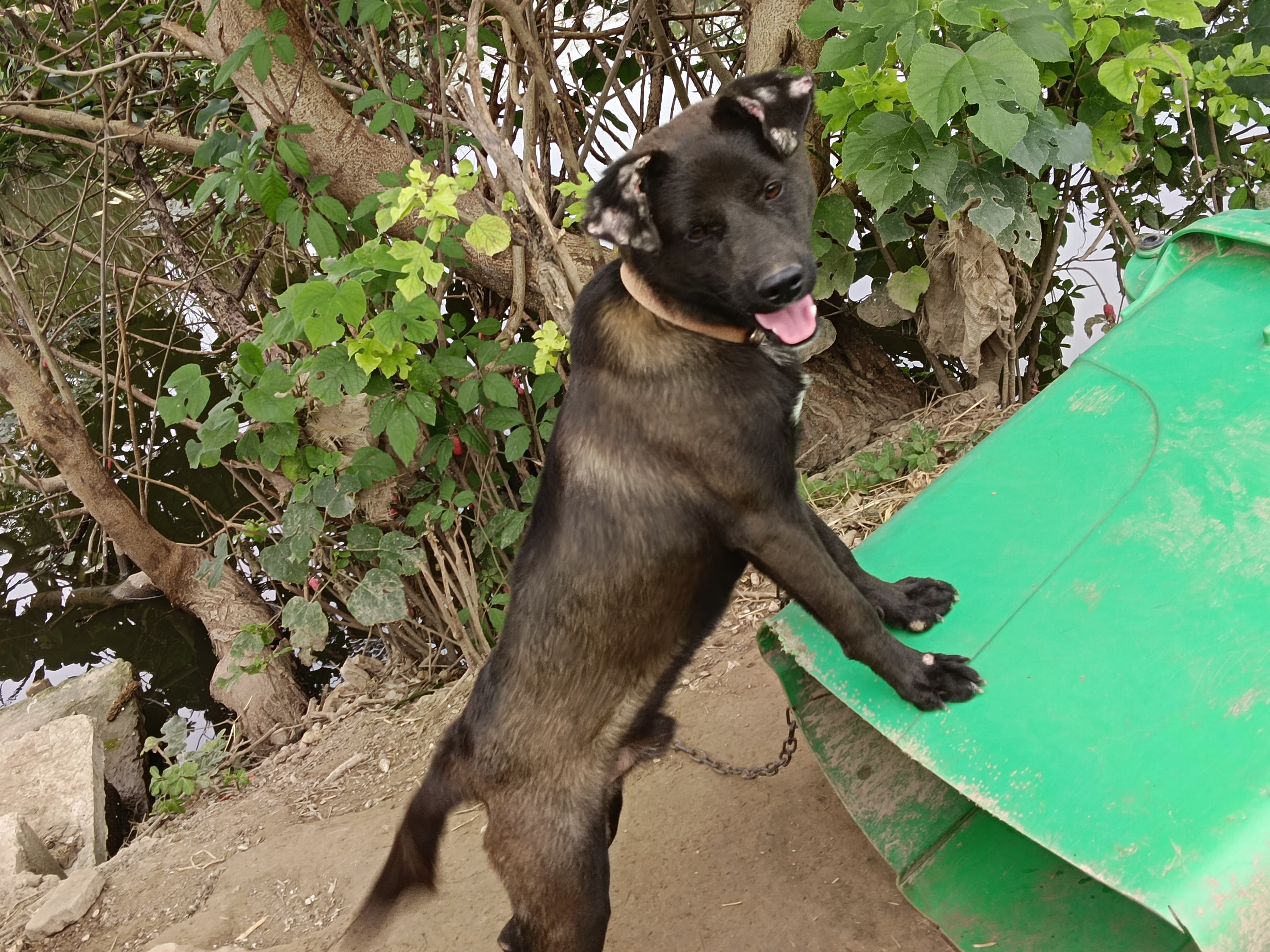 2025年12月16日 第33页