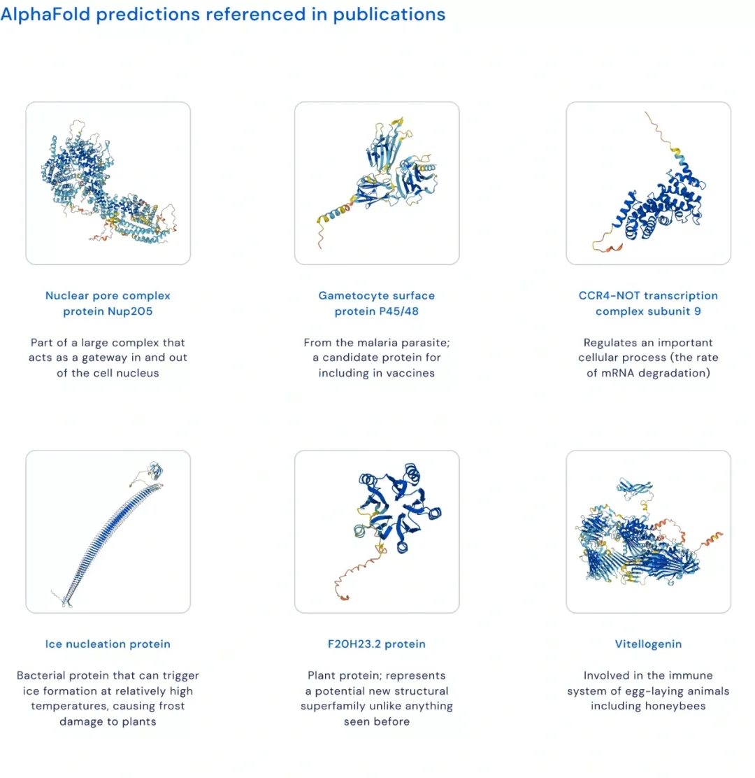 医学上的ob是什么意思