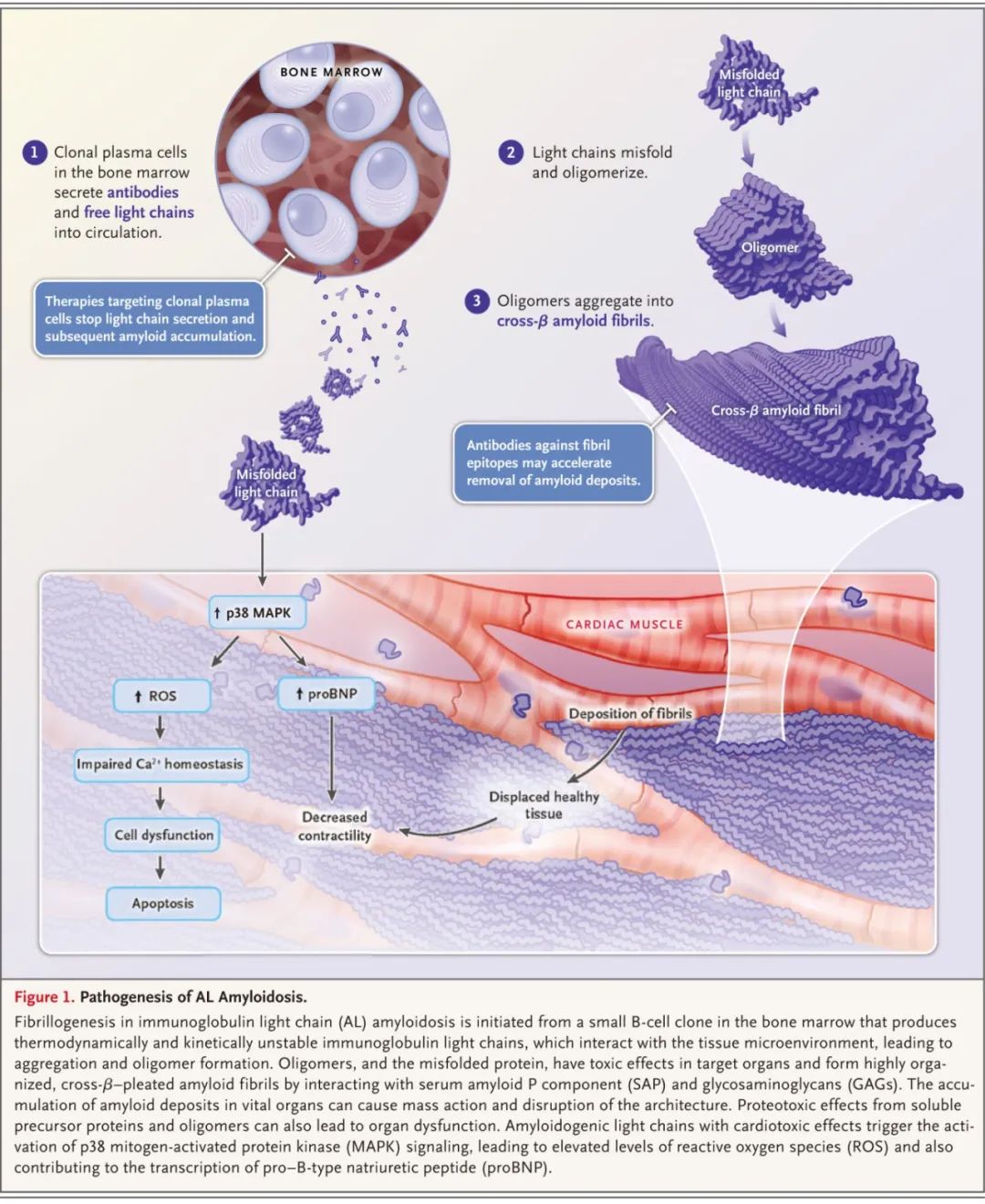 碘遇淀粉变蓝的原理是什么