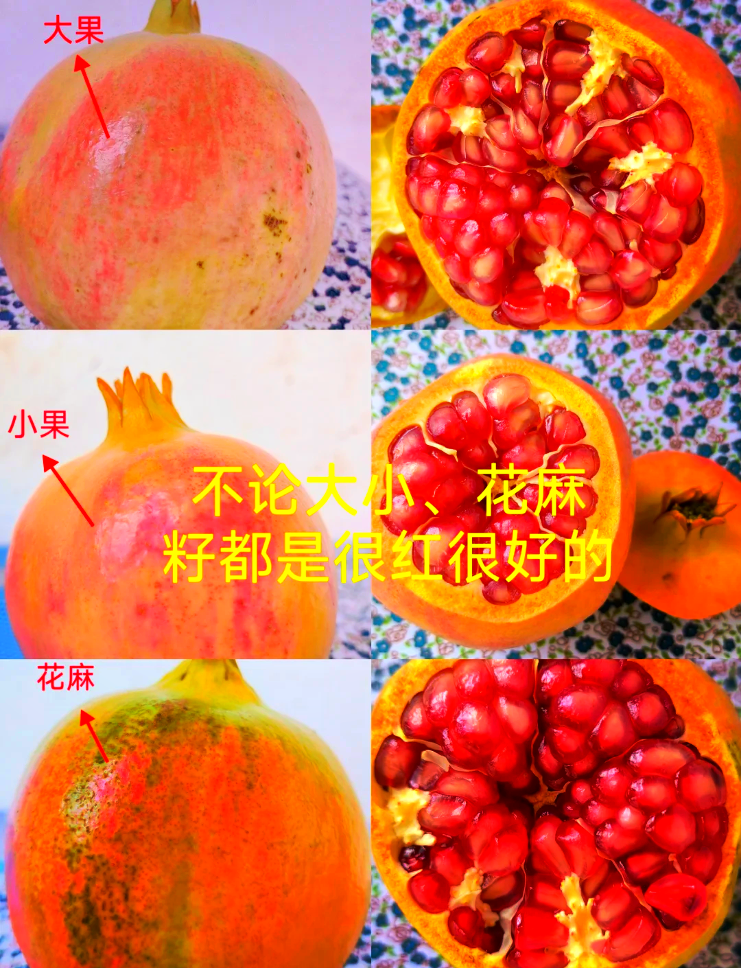 石榴属于热性的还是凉性的水果呢