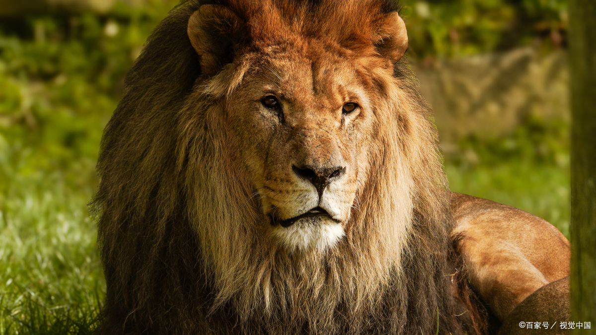 雄伟和雄壮的区别是什么