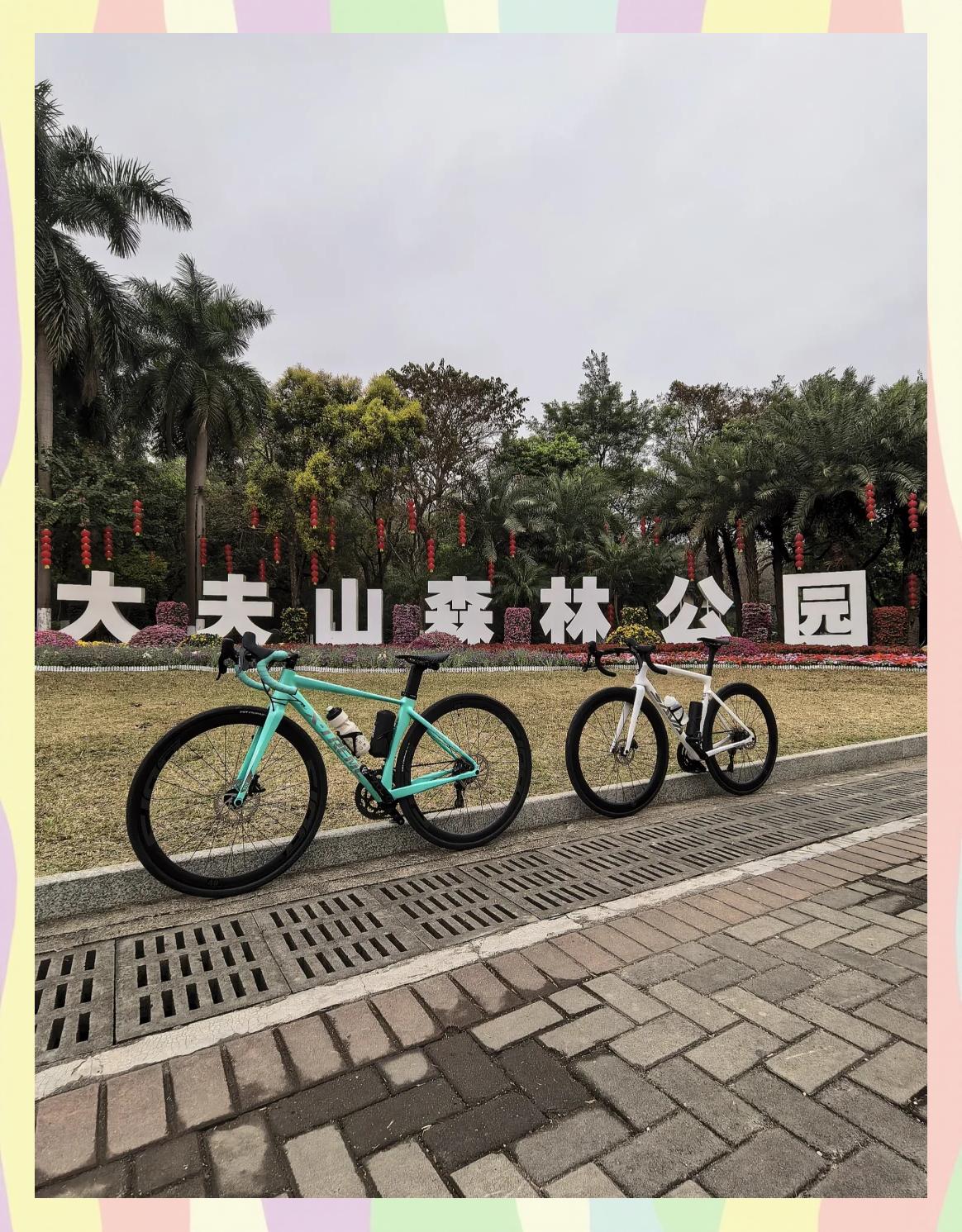 大夫山森林公园一日游攻略