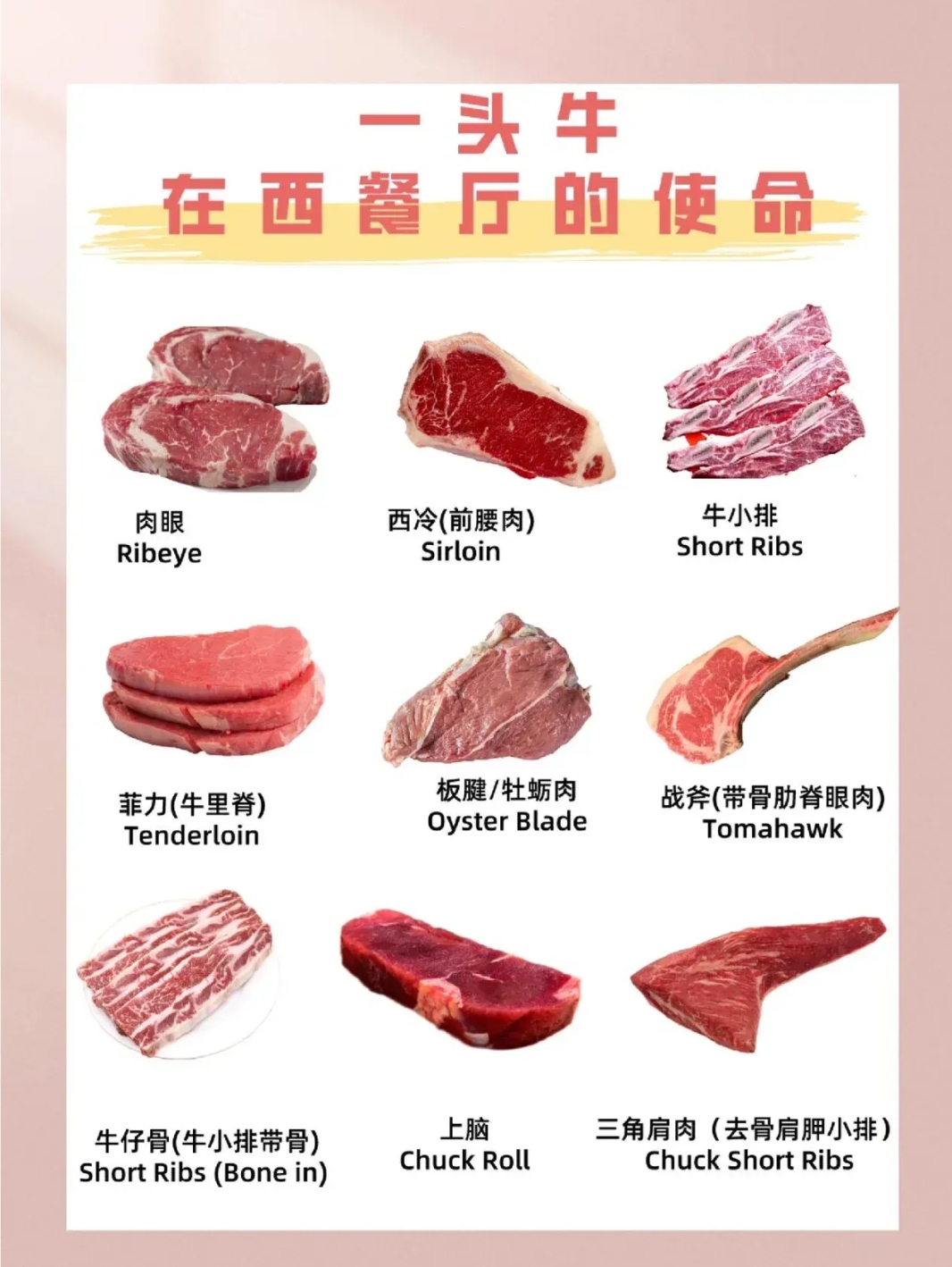牛柳是牛的哪个部位的肉
