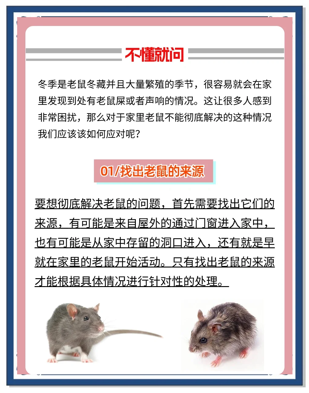 有什么办法可以驱赶老鼠